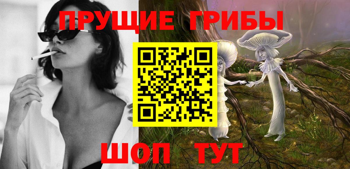 Королёв  Псилоцибиновые грибы GOLDEN TEACHER  Вход с VPN 