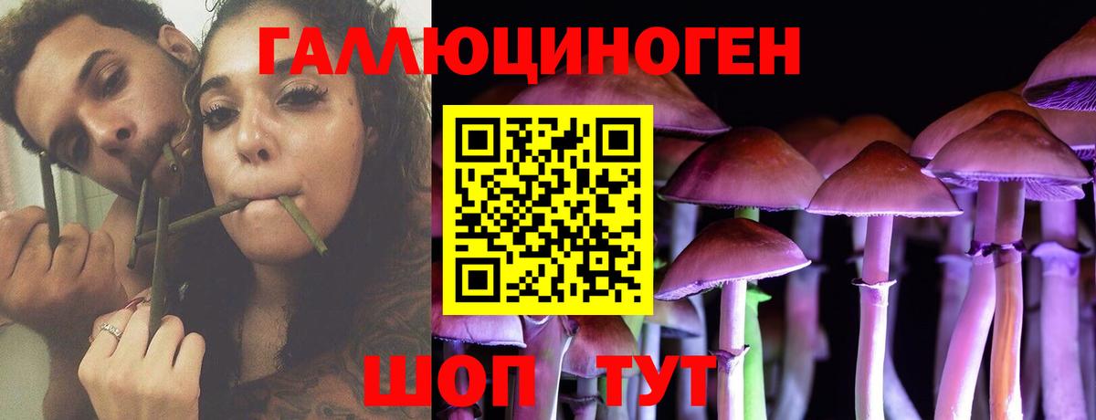 Псилоцибиновые грибы Psilocybine cubensis Королёв
